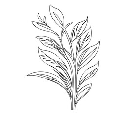 Elegant botanical illustration depicting a sprig with delicate leaves in monochrome style