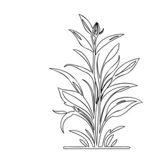 Minimalist botanical line art: Simplistic plant illustration with elegant strokes