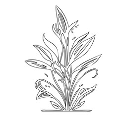 Elegant line art illustration of abstract botanical foliage for design elements
