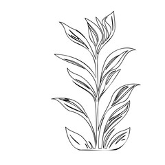Elegant botanical illustration featuring gracefully curving leaves and a slender stem