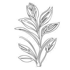 Elegant botanical line art showcasing stylized plant with graceful leaf arrangements