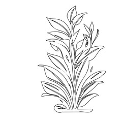 Elegant botanical illustration featuring minimalist line art of a lush plant