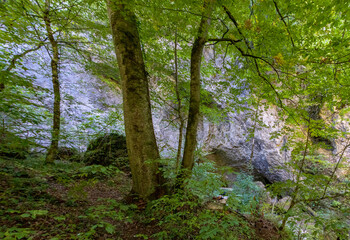 autumn, river, park cloudy day, walk along the riverbed and terrain
