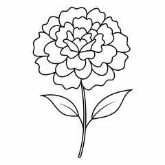 vector illustration of a flower