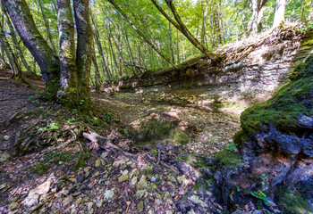 autumn, river, park cloudy day, walk along the riverbed and terrain