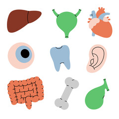 Human organs set. Heart, gallbladder, intestines, tooth, liver, eye, bone, ear, bladder. Vector illustration.