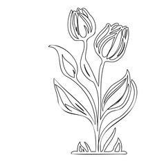 Minimalist botanical line art: Simplistic tulip floral arrangement illustration