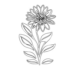Elegant sunflower outline drawing, minimalist floral art and design concept