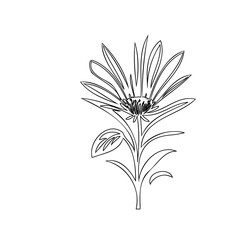 Elegant botanical illustration of a flower with delicate petals and leaves