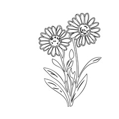 Delicate daisy duo: An elegant botanical line drawing with natural charm