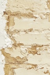 Obraz premium Flaking cream paint on aged brick wall with exposed mortar stains.