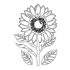 Monochrome Sunflower Silhouette: An Artistic Botanical Illustration with Detailed Petals