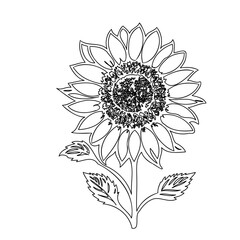 Detailed Sunflower Outline Drawing Depicting Botanical Elegance and Simplicity