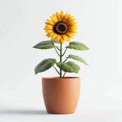 Obraz premium Sunflower plant growth showcase indoor space nature photography minimalist design close-up view beauty in simplicity