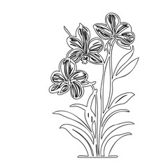 Floral outline illustration featuring delicately drawn petals and foliage design