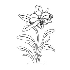Delicate Orchid Blossom Line Art Illustration with Graceful Stem and Leaves