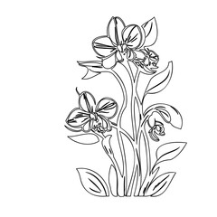 Elegant floral arrangement vector art, delicate botanical elements in outline drawing