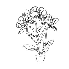 Delicate orchid illustration with intricate lines offering classic monochrome aesthetic