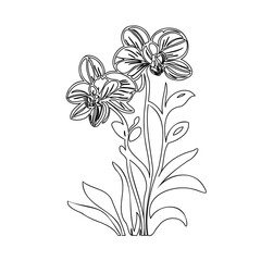 Minimalist Orchid Blossom Line Art: Elegant Floral Design for Modern Decor