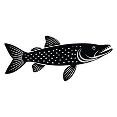 Fototapeta premium silhouette vector illustration of a northern pike fish clean white background