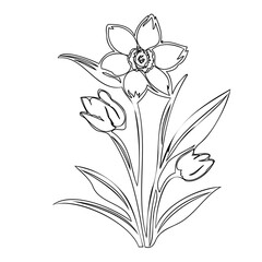 Elegant Floral Illustration with Delicate Details for Coloring or Design Projects