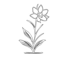 Minimalist Floral Illustration: Delicate Flower Outline on White Background