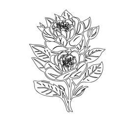 Elegant floral arrangement line art creating a graceful botanical composition