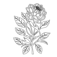 Elegant minimalist floral outline design for botanical illustration artwork