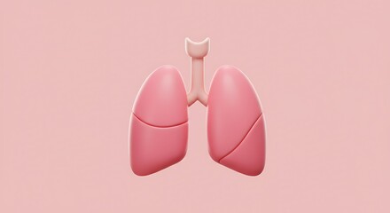 Human Lung Anatomy Model in Pink