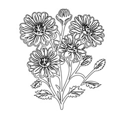 Elegant Floral Line Art: A Delicate Botanical Illustration for Creative Projects