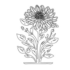 Elaborate line art illustration of a blooming chrysanthemum with delicate foliage