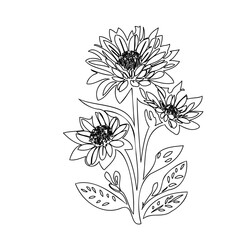 Delicate floral illustration: black outline of three flowers and some leaves