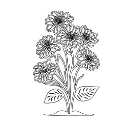 Elegant monochromatic floral display showcasing a detailed contour arrangement