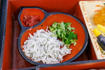 しらすのひつまぶしとアジフライ、煮込みうどんなどの定食。
道の駅でランチを食べる。
三島市、静岡県-2025年3月30日
