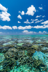 サンゴ広がる海と空　沖縄　宮古島