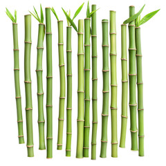 Obraz premium Fresh green bamboo stalks arranged png