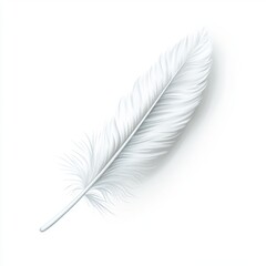 White feather illustration against white background