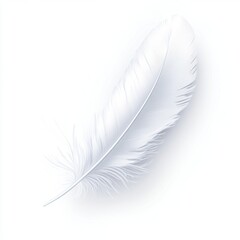 Obraz premium Isolated white feather, soft light, subtle shadows, blank background, ideal for design