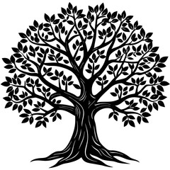 Obraz premium Banyan tree