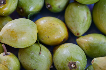 Close-up view of ripe Pouteria Campechiana fruit
