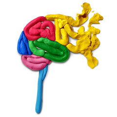 Brain Disorder and cerebral injury or mental health memory loss as dementia with Alzheimers or trauma and neurology as degenerative cognitive memory loss and mind function.