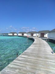swimming pool in tropical resort