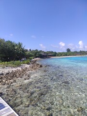 tropical beach with turquoise water