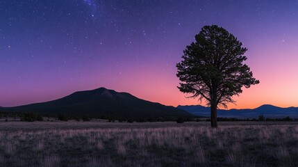 Solitary tree under starry sky at dusk providing a serene landscape