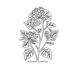 Delicate monochrome floral illustration in linear style for coloring book