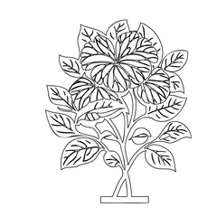 Detailed monochrome botanical illustration featuring intricate floral arrangement