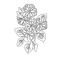 Elegant floral arrangement outline perfect for creative coloring and design projects