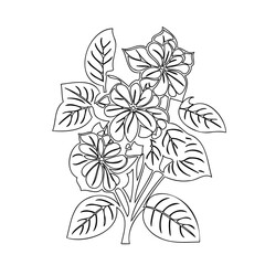Elegant floral arrangement outline for coloring book pages and creative projects