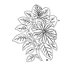 Elegant floral illustration featuring stylized blossoms and foliage elements