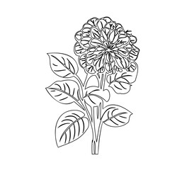 Elegant floral design, a delicate line drawing of a flower with detailed petals